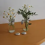 Appartements-strandschloessl Heitzmann