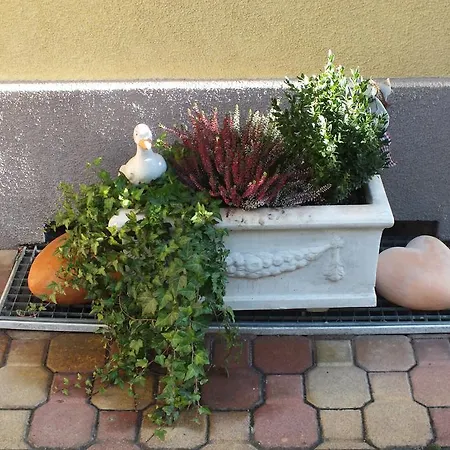 Appartements-strandschloessl Heitzmann Seeboden